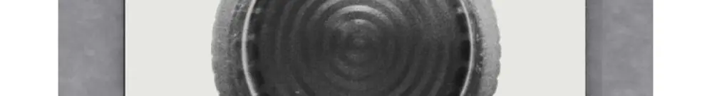Signal lumineux ENC SIDUS Z opale 
