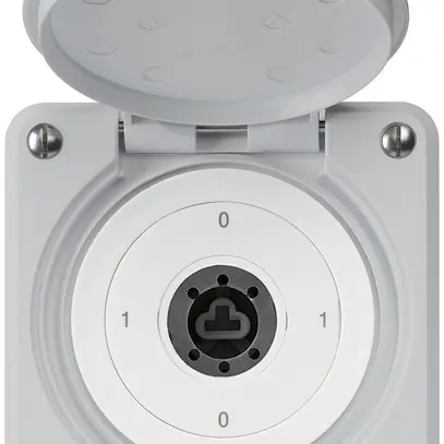 Interruttore a chiave INC robusto IP55 con copertura senza cilindro S0/3P grigio 