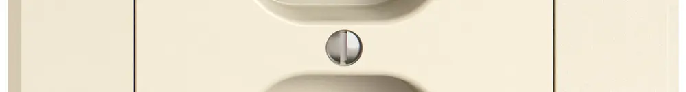 UP-Steckdose EDIZIO.liv SNAPFIX® 2×T13 1×S cr 