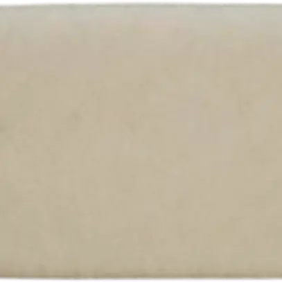 Filtre à grosses poussières hiver pour Defensor PH15 