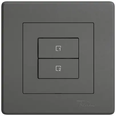 Poussoir scènes ENC EDIZIO.liv Wiser SNAPFIX® 2 scènes 2 touches grf 