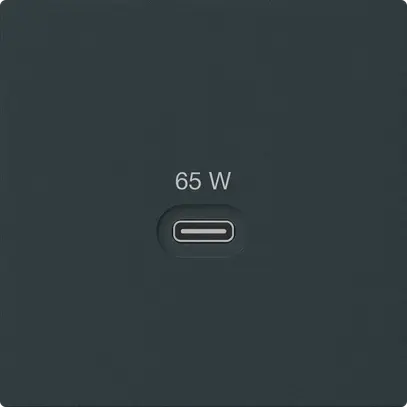 Prise de charge USB Hager kallysto type C 65W 3250mA noir 