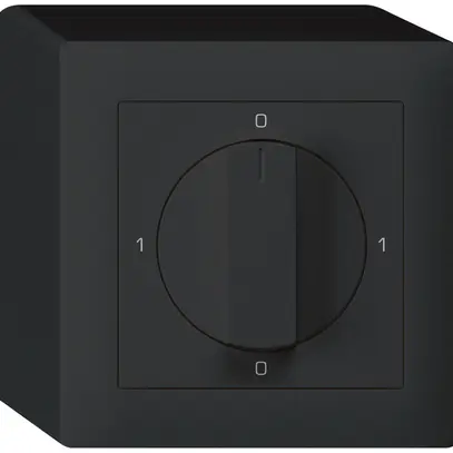 Interrupteur rotatif AP kallysto 0/2L noir avec manette 