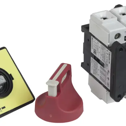 Interrupteur arrêt d'urgence INC Schneider Electric 63A/3P (ro) 