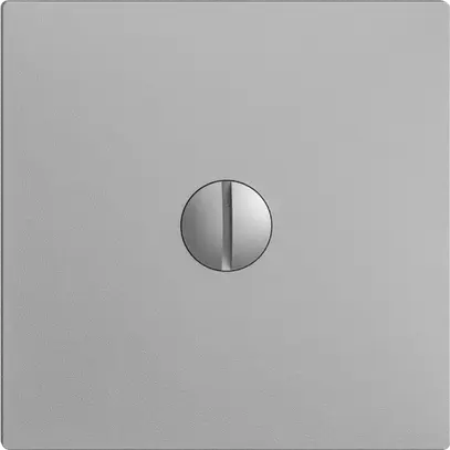 Plaque d'obturation EDIZIOdue silver 