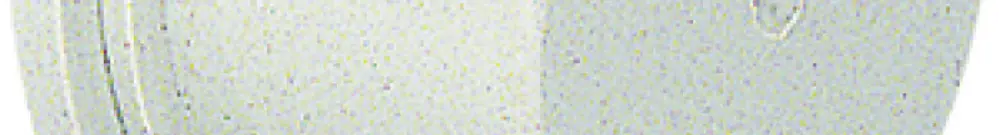 Cappuccio di protezione per spina CEEtyp 3L 16A IP67 