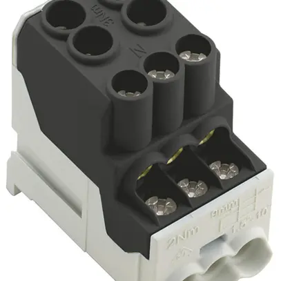Blocco di distribuzione WM WPD 100 2×25/6×10mm² 101A 690V TS35 nero 