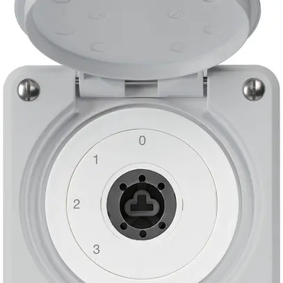 Interruttore a chiave INC robusto IP55 con copertura senza cilindro S5/1P grigio 
