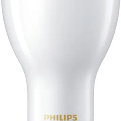 Lampada LED Philips TForce HPL E40 36…55W 5500lm 830 opaco 