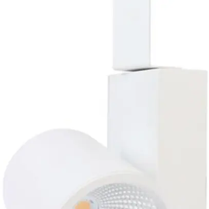 Spot LED DOTLUX EXPLORERgrid 30W, 4000K, bianco 