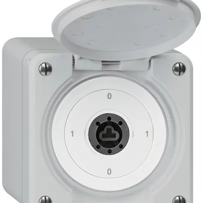 AP-Schlüsselschalter robusto IP55 mit Klappdeckel ohne Zylinder S0/2P grau 