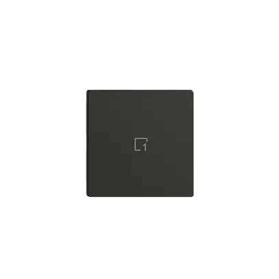 Poussoir 1/1 ENC Edue Wiser symbole scène 1 noir 