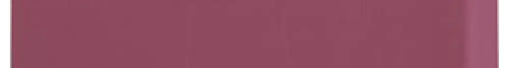 Bloc de distribution PX PTFIX 2X4 PK 