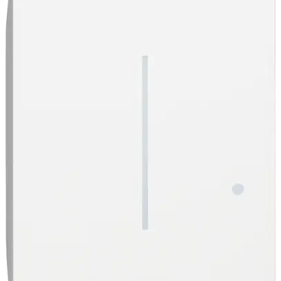 Cache Living Now with Netatmo 2 modules pour transmetteur blanc 