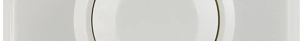 UP-Drehdimmer Electro-Mica Phasenanschnitt 230V 20…300VA weiss 