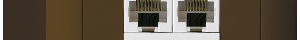 AP-Dose kallysto 2×RJ45u parallel braun 