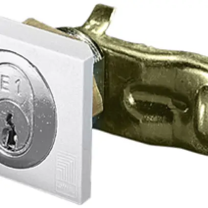Verrou Rittal SZ 2540.500 fermeture à glissière avec cylindre E1 pour AE/AX 