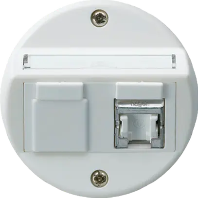 Inserto per presa INC basico A cat 6 1×RJ45/s uscita obliqua bianco 