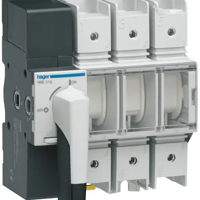 Interruttore sezionatore Hager HAE316 3L 160A 