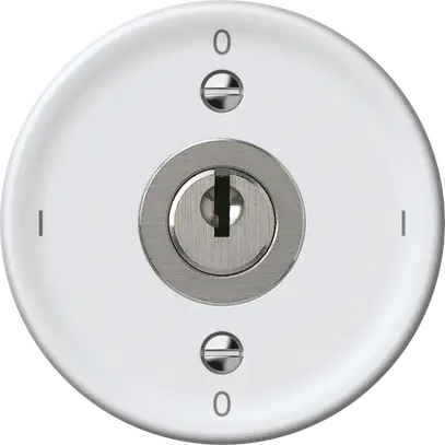 Interruttore a chiave origin interruttore 0/1L 16A 250V 0-I-0-I 60×60mm bianco 