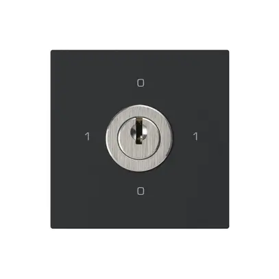 Inserto interruttore a chiave kallysto 0/3L nero con serratura Kaba 8 