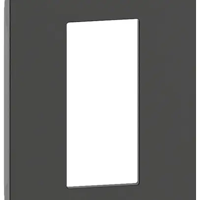 Cache Living Now 2 modules pour RJ45 ou RJ11 noir 