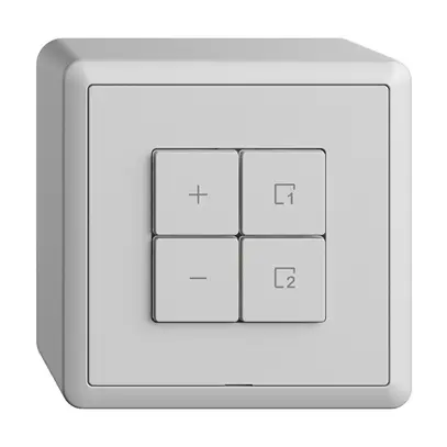 Dimmer DALI AP 1K/4T scena WLAN Edue Wiser grigio chiaro 
