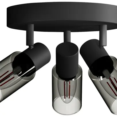 Spot Philips Palms E14 3×25W 245×196mm nero 