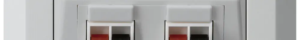 Prise ENC audio kallysto.line 2× gris clair borne à étrier pour 2 haut-parleurs 
