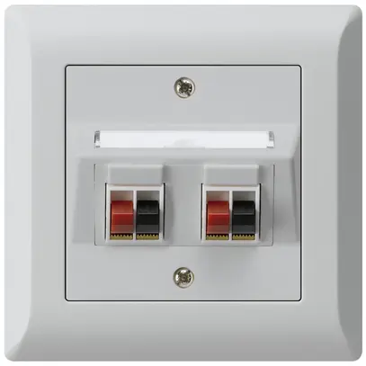 Prise ENC audio kallysto.line 2× gris clair borne à étrier pour 2 haut-parleurs 