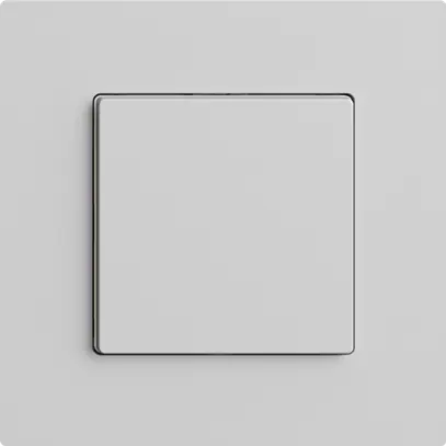 Station secondaire pour interrupteur 1c/1t WLAN Edue Wiser gris clair 