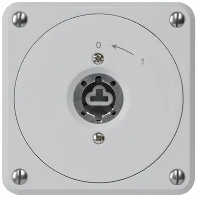 Contact pivotant à clé ENC robusto gris sans clapet sans cylindre 2P combinaison 