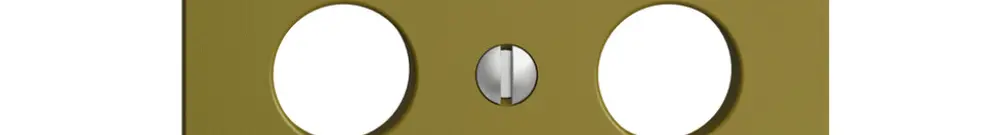 Placca frontale EDIZIOdue olive per R/TV 