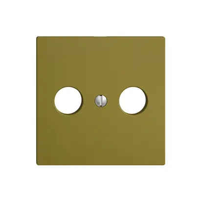 Placca frontale EDIZIOdue olive per R/TV 
