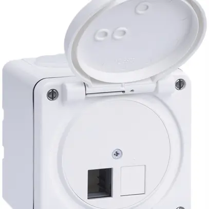 Kit de montage AP R&M sortie droite 2×cat.5e/6/6A spezial, IP55, blanc 