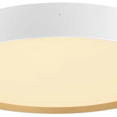 Plafonnier/applique LED SLV DECONA 42 23W 2020lm 927/930 IP44 VAR Ø420 blanc 