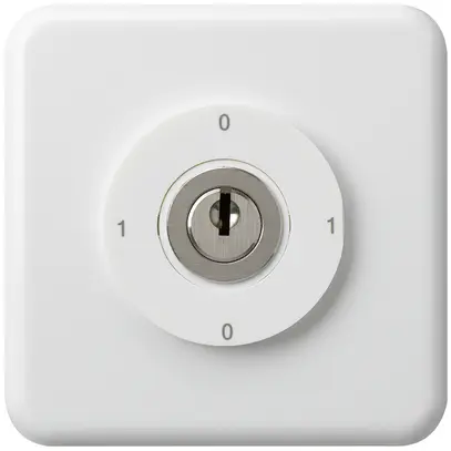 Interrupteur à clé ENC 0/2L blanc basico 
