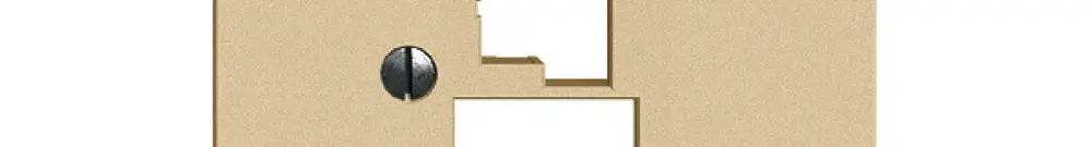 Placca frontale 1×T+T,1×RJ45 EDIZIOdue sand R&M swissline 