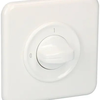 UP-Ausschalter SDUE, 20A, 2P, 90×90mm, 90°, 0-1, weiss 