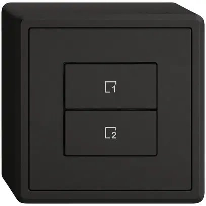 Poussoir scènes AP EDIZIO.liv Wiser SNAPFIX® 2 scènes 2 touches no 