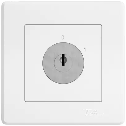 Interruttore a chiave INC EDIZIO.liv c.KABA 1007F/5000 invert.4P 0-1 p=87mm bi 