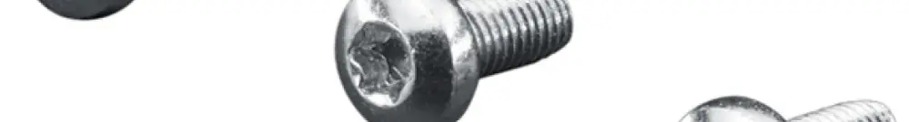 Vite Rittal SZ 2489.500 12mm TX M5 testa bombata 500pz 