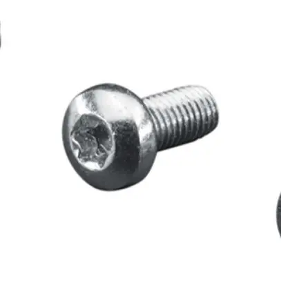Vite Rittal SZ 2489.500 12mm TX M5 testa bombata 500pz 