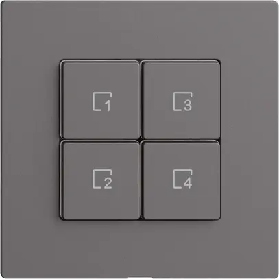 Pulsante scena 4 scene/4T WLAN Edue Wiser grigio scuro 