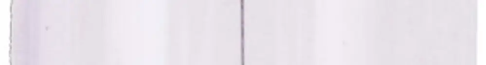 Lampada siluro a incandescenza 15.5×44mm 24V 5W chiaro 