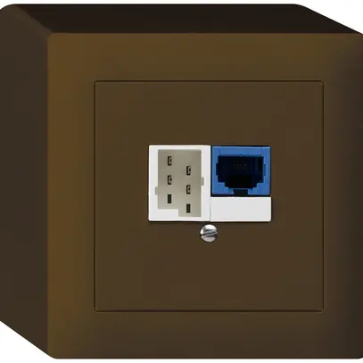 Boîte DSL AP 1×RJ45/1×T+T brun 