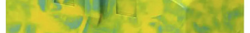 Blocco di distribuzione PX PTFIX 6/6X2,5 GNYE 