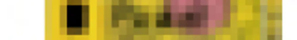 Interruttore di sicurezza per l’arresto di emergenza, dispositivo di sorveglianza della porta di protezione 