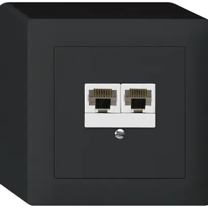 AP-Dose kallysto 2×RJ45u parallel schwarz 