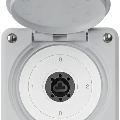 Interruttore a chiave INC robusto IP55 con copertura senza cilindro S2/1P grigio 